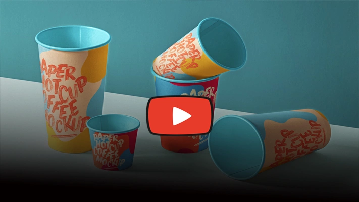 ویدیو کاروکوچینگ